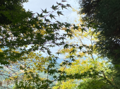 82回目 画像2
