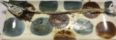 秋刀魚の食べ方 画像1