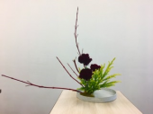 201130　満月の美しい 画像1