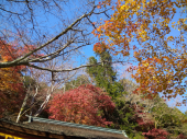 聖林寺と談山神社 画像2