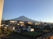 今日は遅い出発 画像1