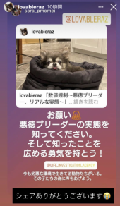 「潜入調査ペット編」 画像2