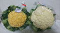 ジョウビタキ と cauliflower(こんなスペルなのね)