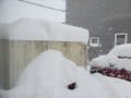 雪害にならなければいいけど