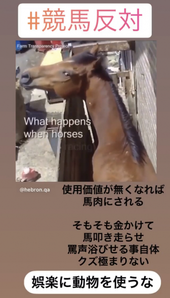 競走馬99 殺処分 健康管理カラダカラノート 競走馬99 殺処分 健康管理カラダカラノート