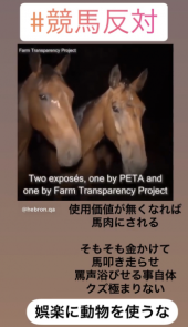 「競走馬99%殺処分」 画像2