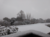 さらに雪 画像1