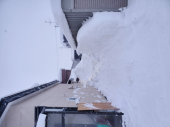 排雪の結果 画像2