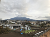 皆さんの評価を知りたいです 画像1