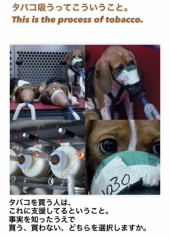 「タバコは殺してる」 画像1