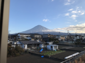 ハムエッグ焼き 画像1