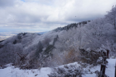 雪と氷のシルバー 画像1