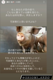 「スナフキン」 画像2