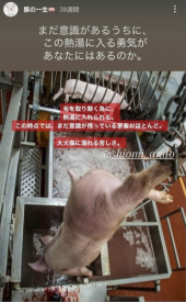 「スナフキン」 画像3