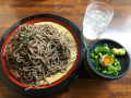 1月30日（土）