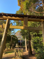野鳥に感動するお山 画像2
