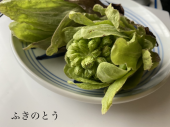 91回目 画像2