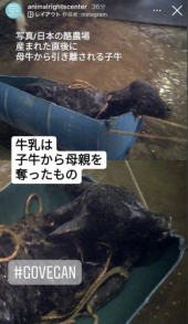 「訴え」 画像2