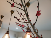 窓が埋まりました 画像3