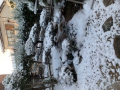 雪積もりました。。