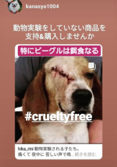 「ビーグルが犠牲に」 画像1
