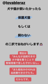 「ビーグルが犠牲に」 画像2