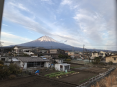 iPhoneに遊ばれる 画像1