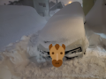 なんなんだ、この雪の量は！？