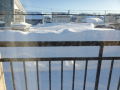 やっと今季の大雪は終わり？