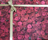 anniversary 画像2