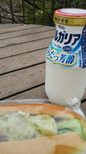 ２０２１/３/２０/春分の日 画像1