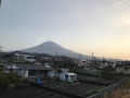 正々堂々と売り込む
