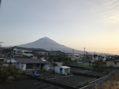 正々堂々と売り込む 画像1