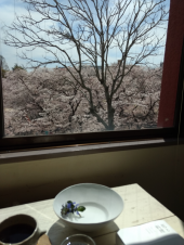 桜、桜、桜 画像2