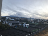 春野菜 画像1