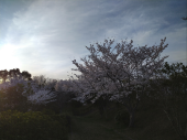 あたふたする 画像1