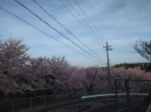 あたふたする 画像2