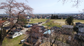 城址公園を散歩 画像1