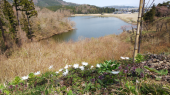 城址公園を散歩 画像2