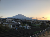 義眼屋　静岡に行く 画像1