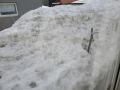 雪ですか…
