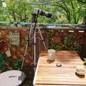 モリーユのクリーム煮 画像2