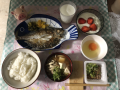 5月1日（土）