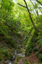 爽やかな5月の登山
