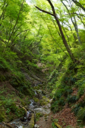 爽やかな5月の登山 画像1