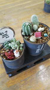 ２０２１/５/２３/インドアグリーン講座/買い出し 画像1