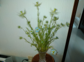ちょっと太った 画像2