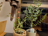 整体３回目 画像1