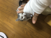 復帰します 画像3