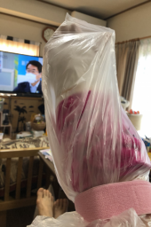 鮭弁 画像2